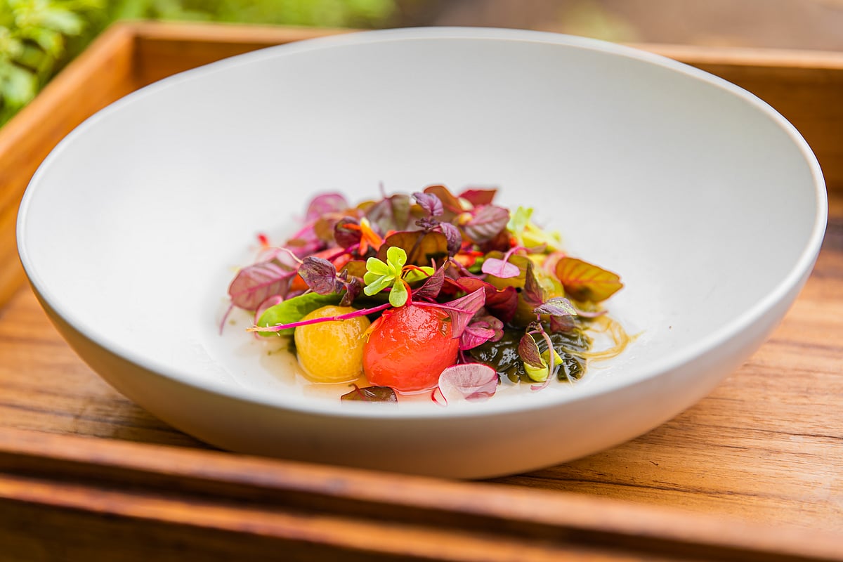 Dining At ‘So Wild’ And ‘Shades Of Green’ In The Maldives, Where Nature’s Bounty Is Unveiled