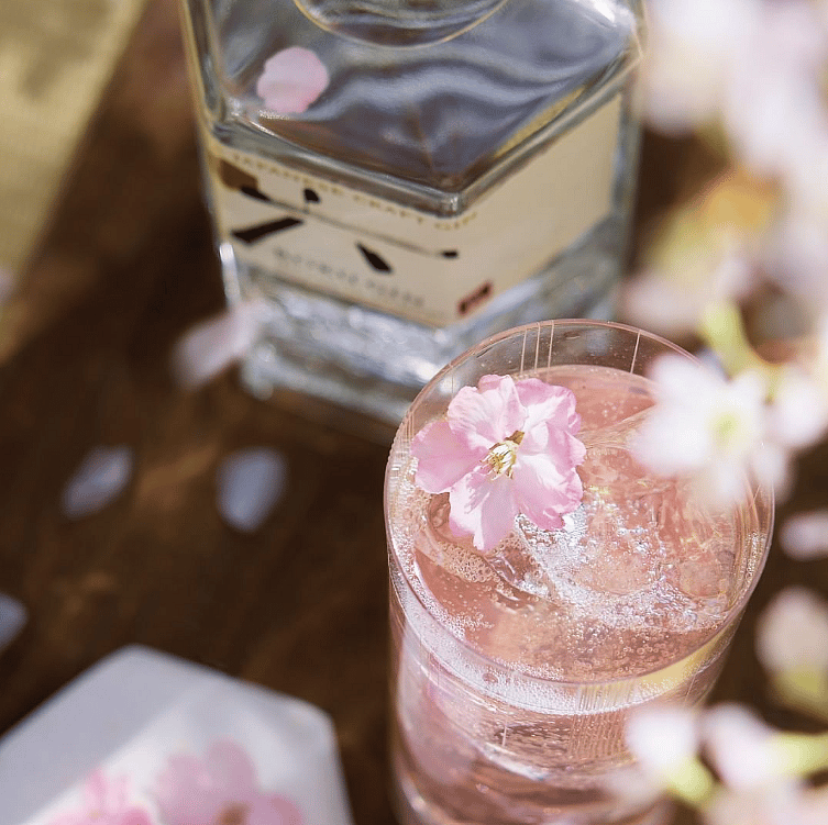 Prepare These Easy-To-Make Gin & Tonic Cocktails