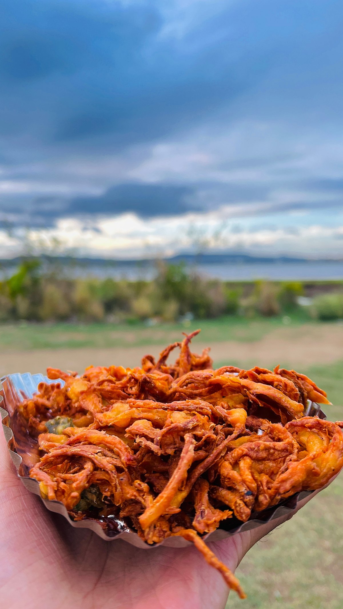 10 Types Of Pakoda To Enjoy This Monsoon