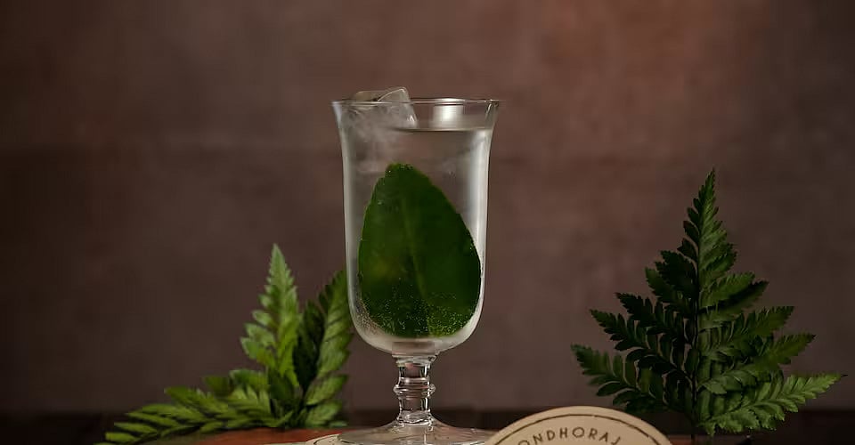 Best Cocktail Bars In Delhi For A Fun Night Out